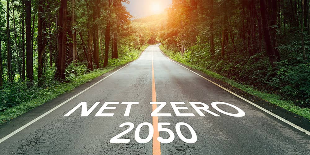 Road to Net Zero 2050